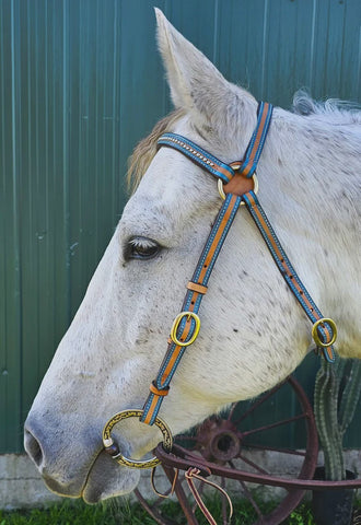 Leather 3/4 Barcoo Bridle - Turquoise