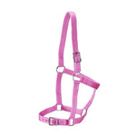 Rancher - Stable Halter - 2 Buckle