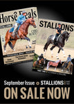Horse Deals Magazine