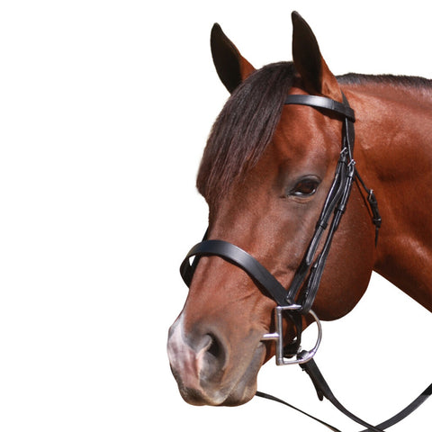 Mcalister - Flat Cavesson Brown Bridle