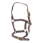 McAlister - Two Toned Foal Halter