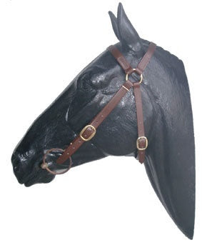 PVC Bridle and Rope Slobber Reins Set